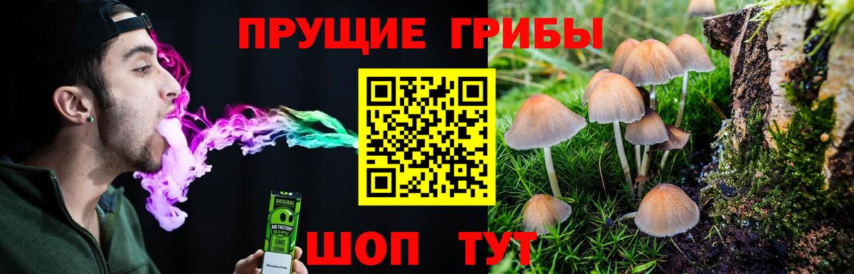 Псилоцибиновые грибы MAGIC MUSHROOMS Норильск